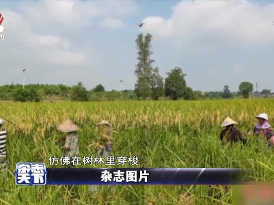 杂志天下20210927