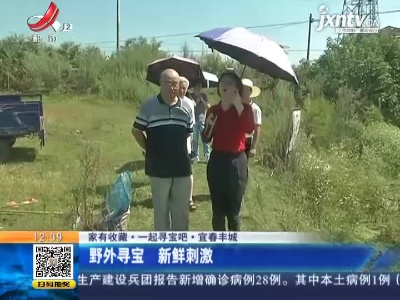【家有收藏·一起寻宝吧】宜春丰城：野外寻宝 新鲜刺激