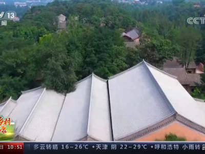 【走进乡村看小康】陕西南堡寨村：悠悠终南山下 品味乡村惬意