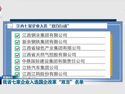 我省七家企业入选国企改革“双百”名单