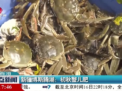 新疆博斯腾湖：初秋蟹儿肥