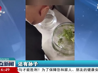 可爱 他上学前叮嘱妈妈照顾小鱼