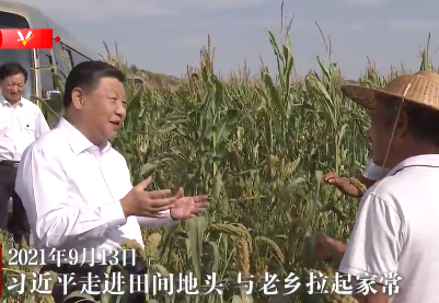 独家视频丨习近平走进田间地头 与陕北老乡拉家常 
