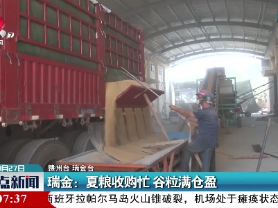 瑞金：夏粮收购忙 谷粒满仓盈
