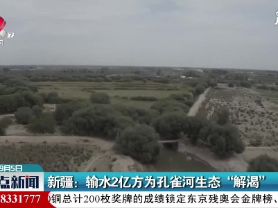 新疆：输水2亿方为孔雀河生态“解渴”