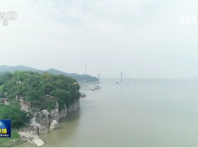 央视报道：赣江南昌段观测到20多头长江江豚嬉戏觅食