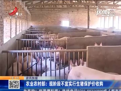 农业农村部：现阶段不宜实行生猪保护价收购