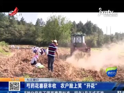 九江湖口：芍药花喜获丰收 农户脸上笑“开花”