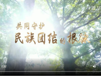 新华全媒+｜共同守护民族团结的根脉
