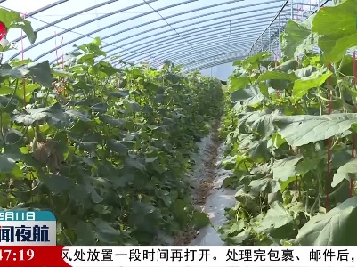 胡强到赣州调研乡村振兴、现代农业发展工作