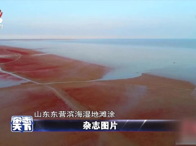 杂志天下20210929