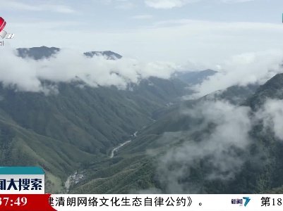 江西武夷山保护区发现国家一级保护动物穿山甲