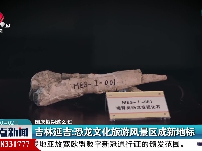 【国庆假期这么过】吉林延吉：恐龙文化旅游风景区成新地标