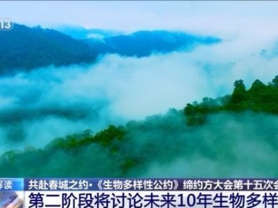用“心”绘蓝图！《生物多样性公约》缔约方大会第一阶段会议取得了这些成果 