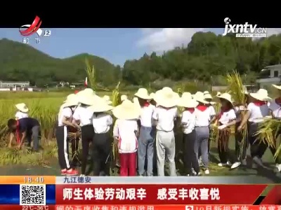 九江德安：师生体验劳动艰辛 感受丰收喜悦