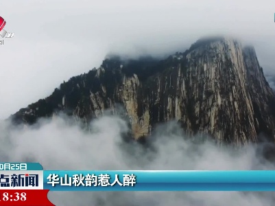 华山秋韵惹人醉