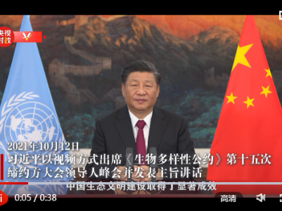 独家视频丨习近平提及云南大象北上之旅：中国生态文明建设取得了显著成效
