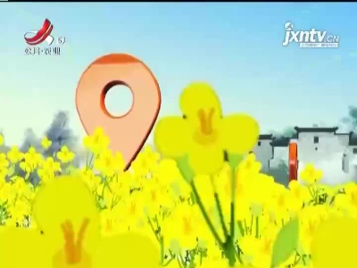 三农要闻20211029
