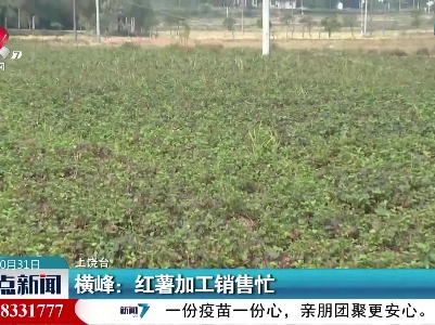 横峰：红薯加工销售忙