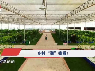 社会传真20211001 乡村“潮”我看！
