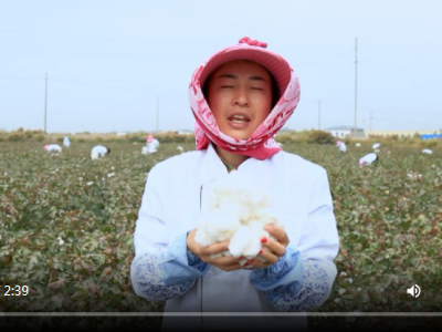 万人说新疆 | 孙芳红：我在新疆每天过得很充实也很快乐