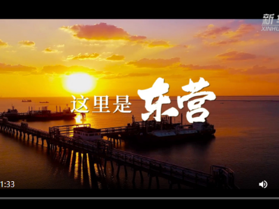 跟着总书记的考察足迹｜这里是东营