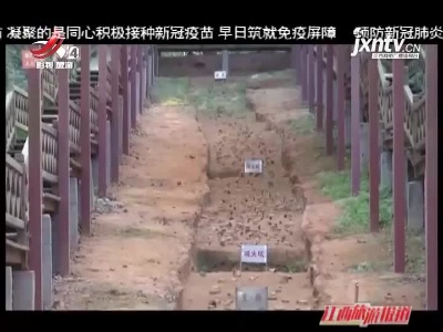 乐平：唐代南窑遗址 千年遗存见证辉煌