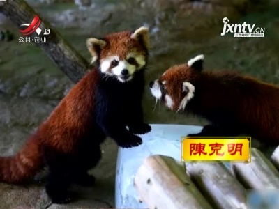 新闻晚高峰20211020