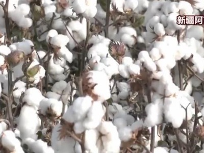 【可爱的中国·金秋时节 收获满仓】金秋丰收季收获正当时 老乡们享受丰收喜悦