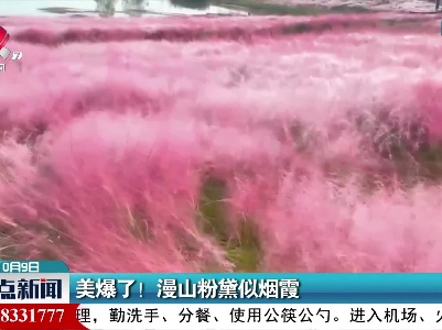 美爆了！漫山粉黛似烟霞