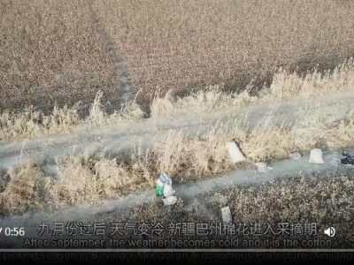 万人说新疆 | 来看看新疆棉花是如何奔赴全国各地的