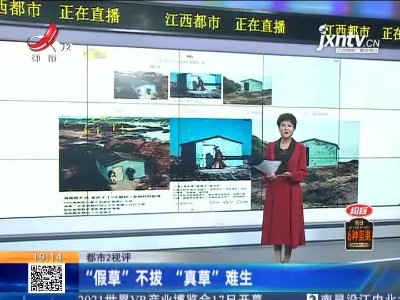 【都市2视评】“假草”不拔“真草”难生