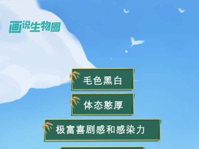 【画说生物圈】守护“国宝”——大熊猫的“降级”之旅
