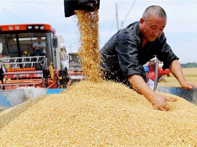 十问中国经济