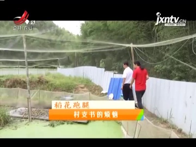 稻花香里20211015 稻花跑腿——村支书的烦恼