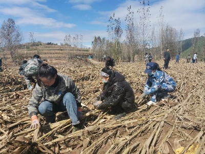 新华全媒+｜颗粒归仓！各地开展“双抢”打赢秋收“攻坚战”