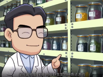 昆明的这个“诺亚方舟”可让种子存活千年 