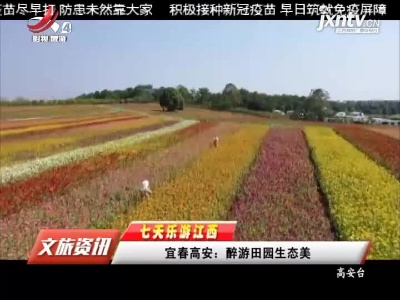 【七天乐游江西】宜春高安：醉游田园生态美