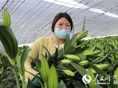 江苏东海：打造共同富裕示范 迸发富民新活力