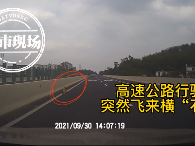 高速公路，石头向车子飞来！看江西这司机第一反应