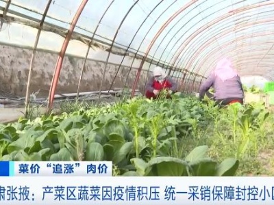甘肃张掖：产菜区蔬菜因疫情积压 统一采销保障封控小区