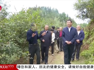 张小平在新余市调研油茶产业发展情况