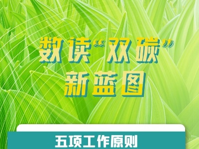 联播+｜数读“双碳”新蓝图 明确十方面路线图、施工图