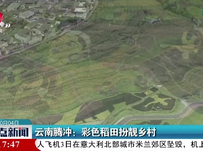 云南腾冲：彩色稻田扮靓乡村