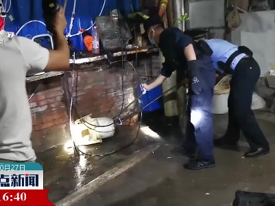 眼镜蛇夜闯厨房 民警将其捕获放归自然