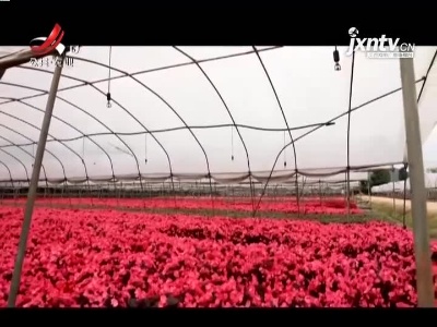 三农要闻20211023
