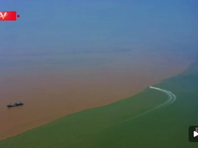 时政现场评丨跟随总书记的脚步 在入海口看壮阔黄河的绿与亲切