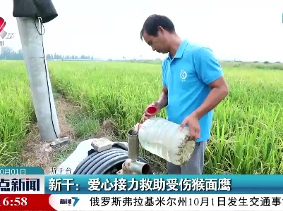 新干：爱心接力救助受伤猴面鹰