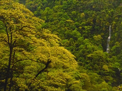 守护动植物王国的司法盾牌
