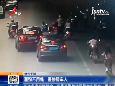 赣州于都：遛狗不用绳 害惨骑车人
